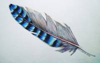 image00003_copy_1