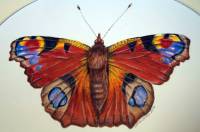 image00022